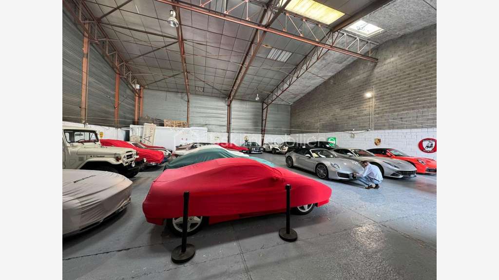 Vente fonds de commerce automobile en ZI Cannes