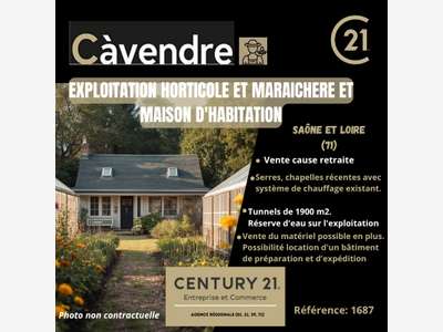 VENTE EXPLOITATION HORTICOLE ET MARAICHERE ET