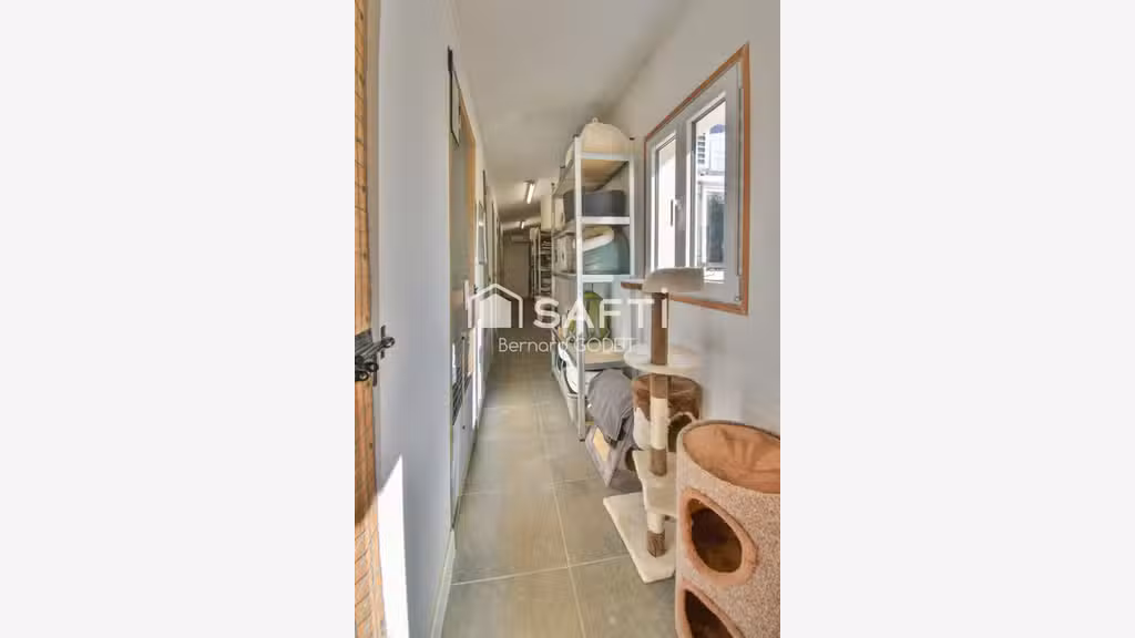 PENSION FÉLINE HAUT DE GAMME + MAISON D’HABITATION