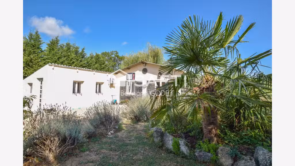 PENSION FÉLINE HAUT DE GAMME + MAISON D’HABITATION