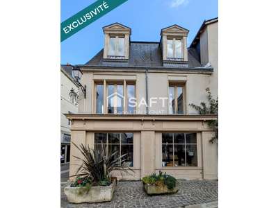 Vente Locaux commerciaux - Boutiques à Chinon