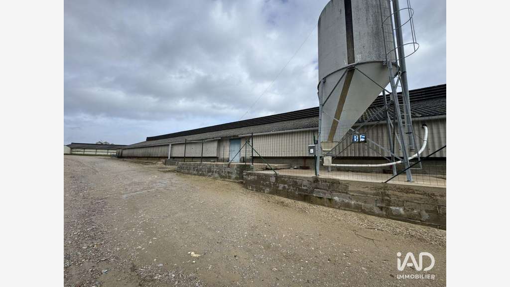 Local commercial à Dangé-Saint-Romain
