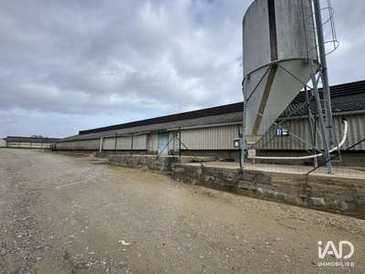 Local commercial à Dangé-Saint-Romain