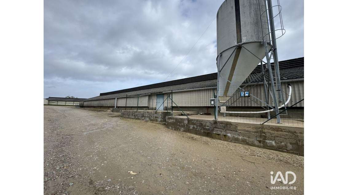 Local commercial à Dangé-Saint-Romain