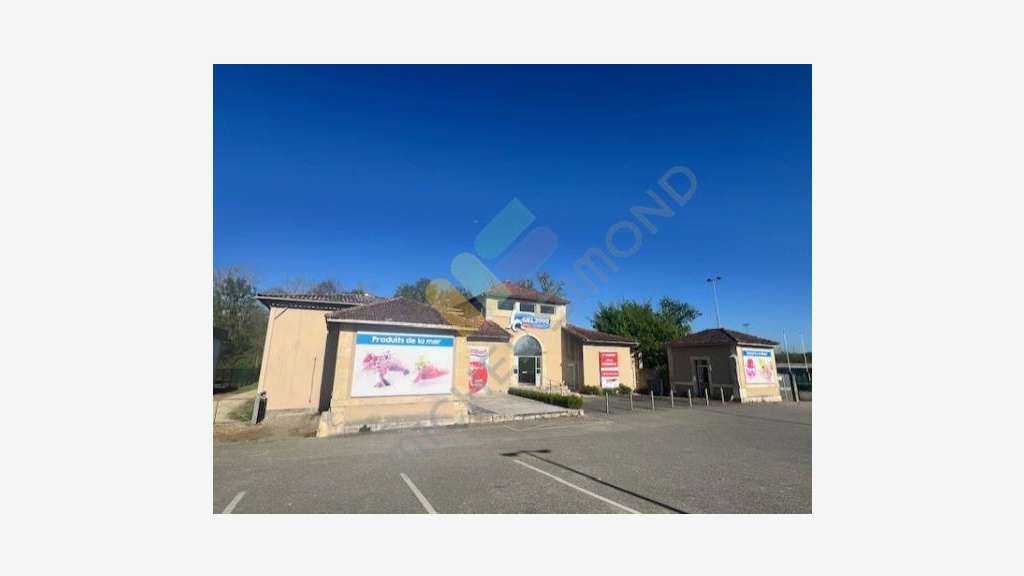 Vente local type supermarché 653m² à Fleurance