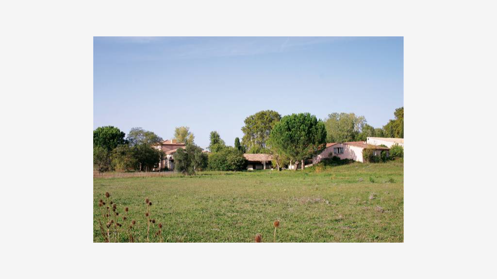 Vente propriété équestre avec gîtes à Fontvieille