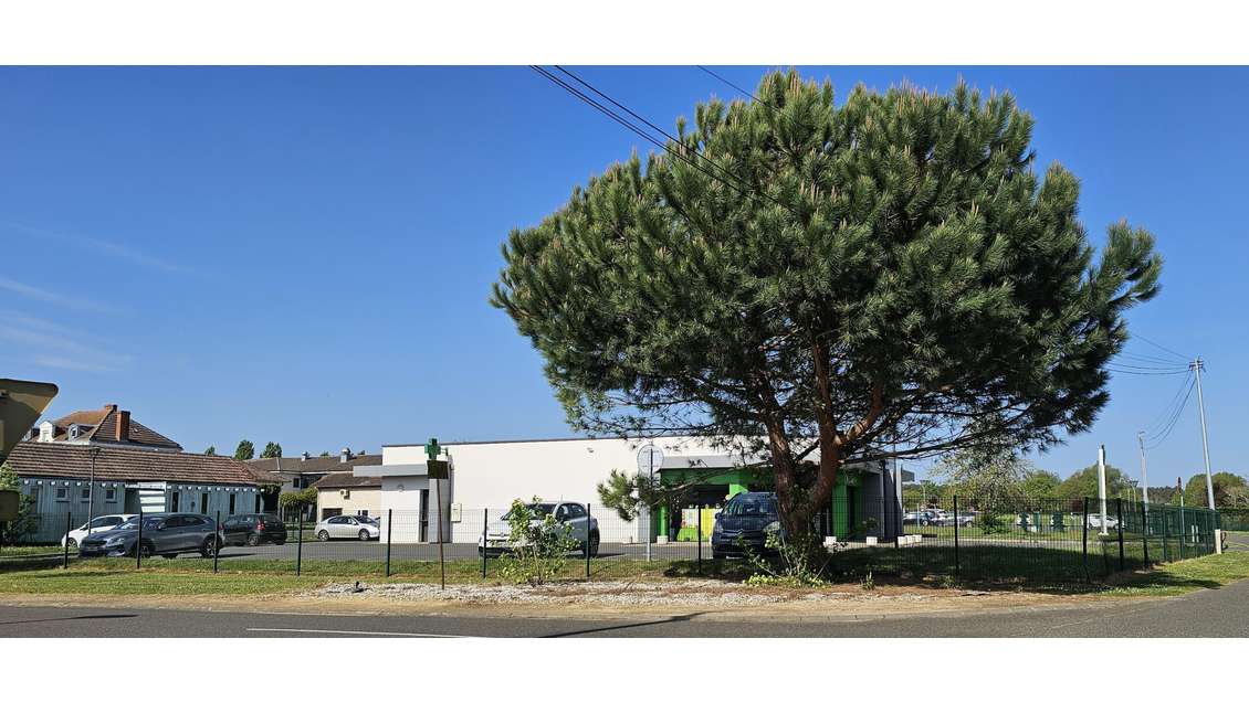 Vente superbe local commercial 262m² à Gabarret