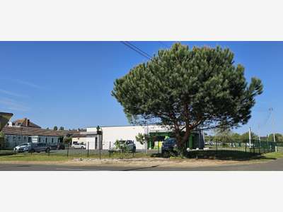 Vente superbe local commercial 262m² à Gabarret