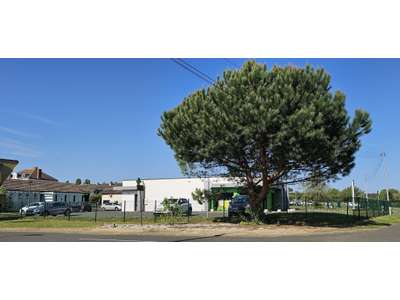 Vente Locaux commerciaux - Boutiques à Gabarret