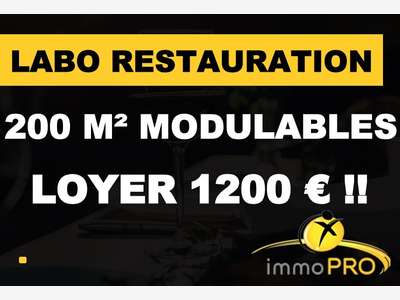 Grand laboratoire entièrement modulable 
