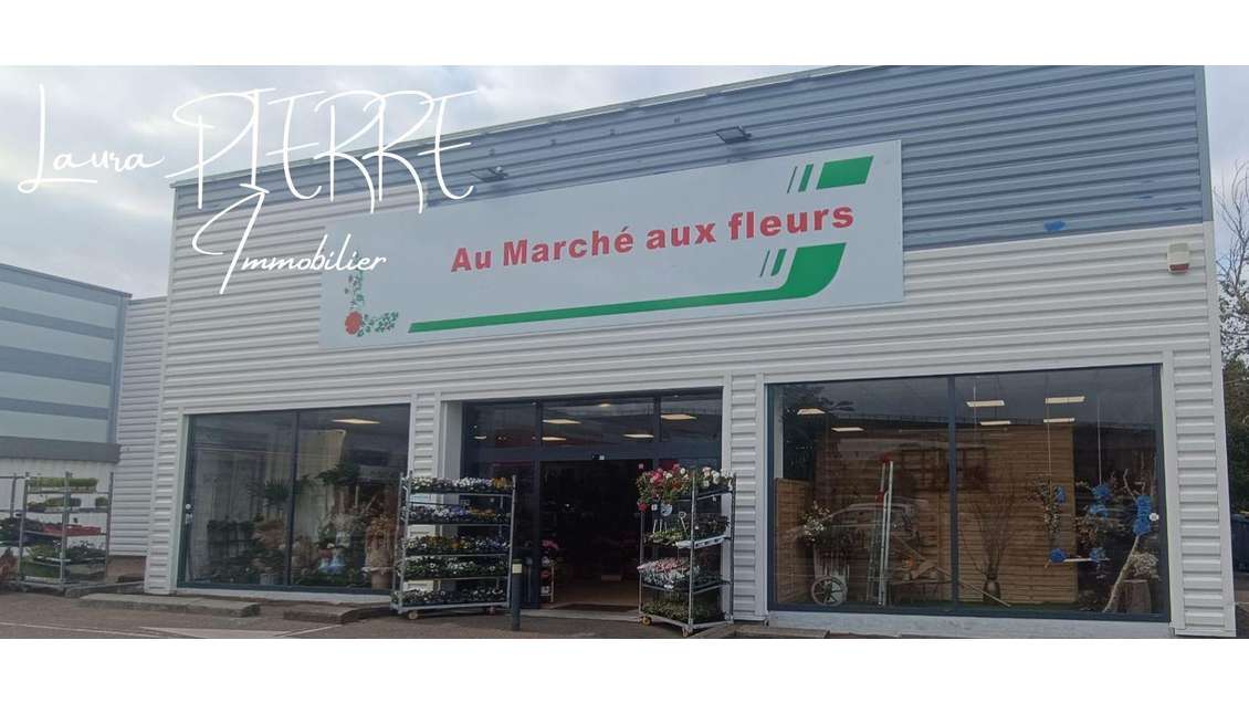 DAB magasin de fleurs 417m² Hérouville Saint Clair