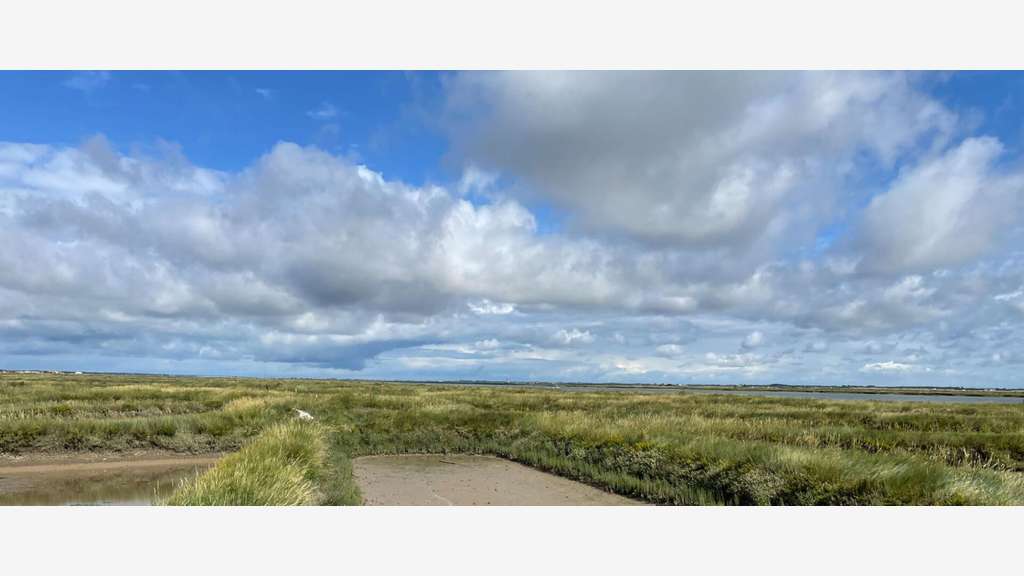 Vente cabane ostreicole 40m² secteur Chaillevette