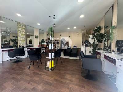 Locaux commerciaux 53000