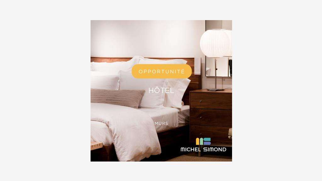 Vente murs hôtel au Mans