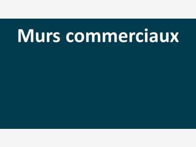 A VENDRE Murs commerciaux Le Mans