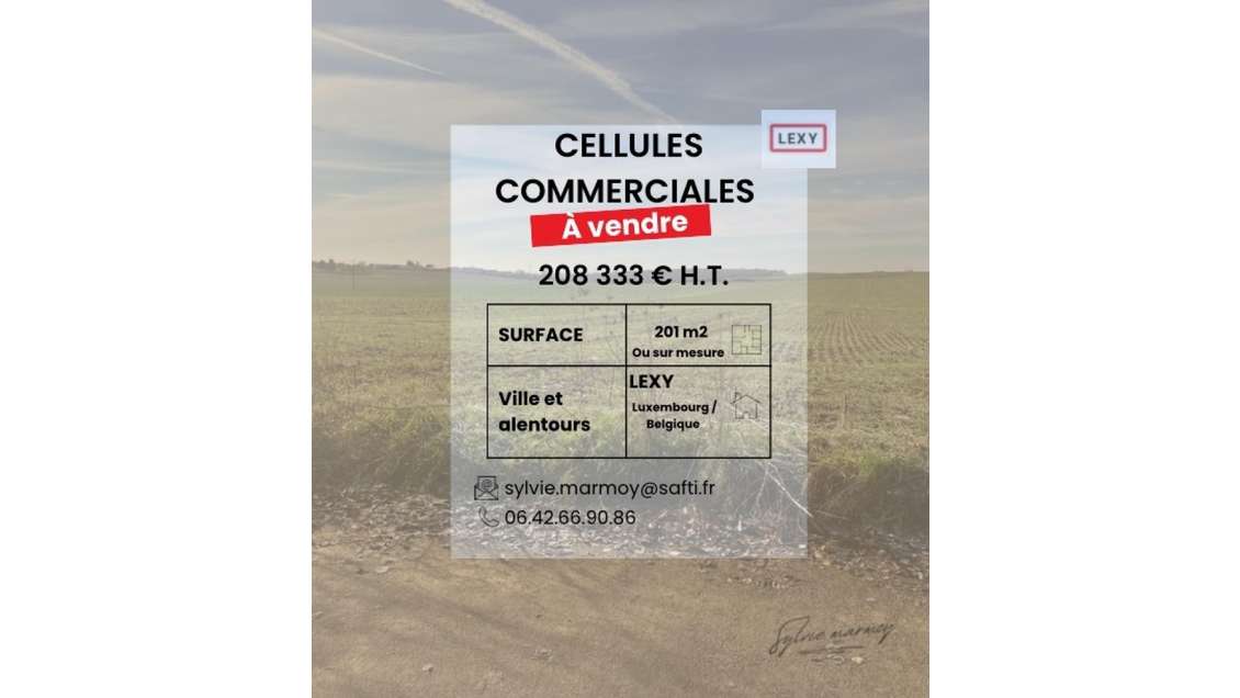 Vente local neuf emplacement stratégique à Lexy