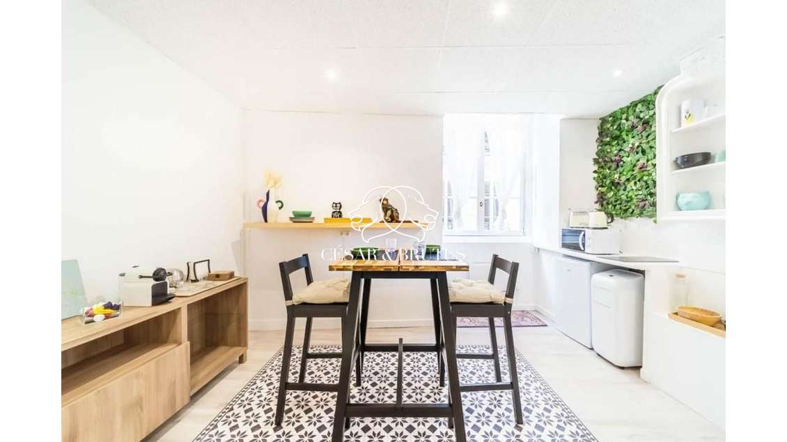 Cède droit au bail superbe loft 72m² à Lyon 69001