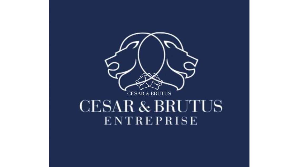 Cession droit au bail local de 50m² à Lyon 69001