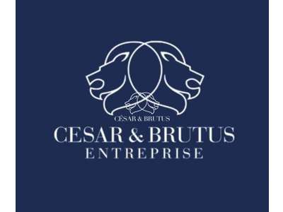 Cession droit au bail Locaux commerciaux - Boutiques à Lyon