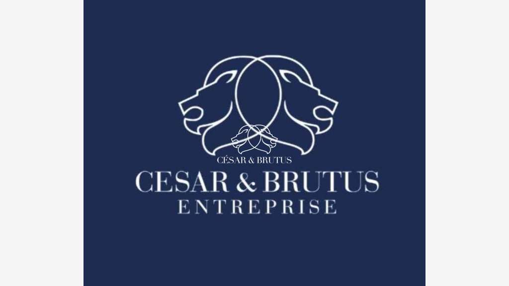 Cession droit au bail local de 50m² à Lyon 69001