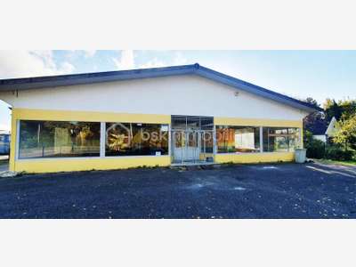 Vente local pro 480m² sur 21 ares à Marckolsheim