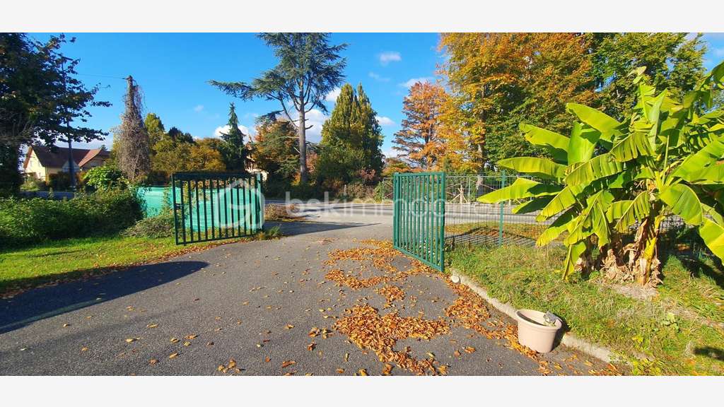 Vente local pro 480m² sur 21 ares à Marckolsheim
