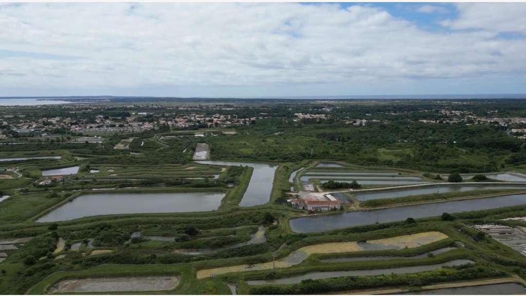 AV site conchylicole de 460m² à Marennes