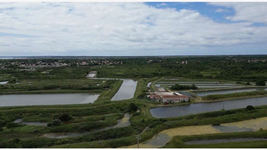 AV site conchylicole de 460m² à Marennes