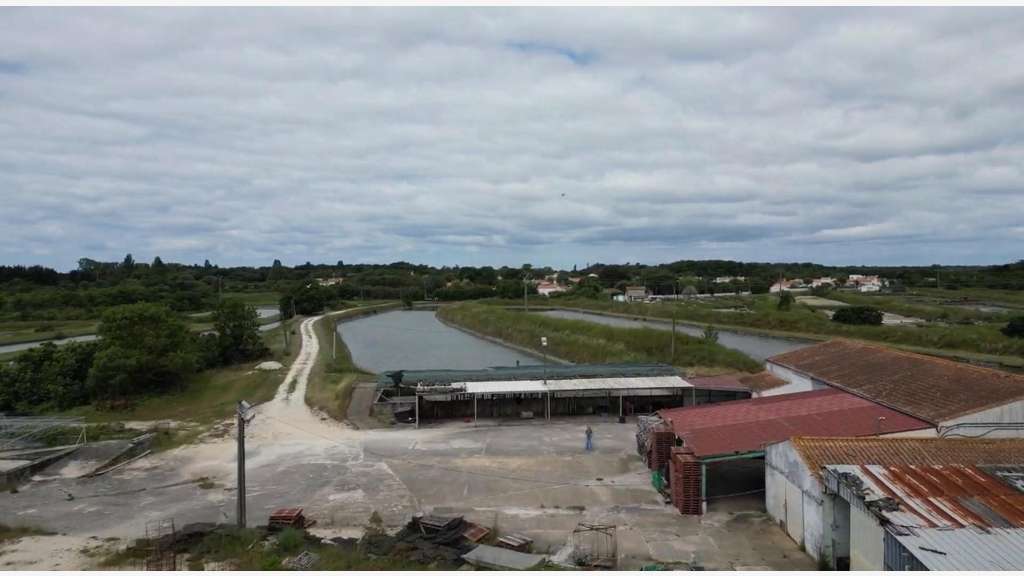 AV site conchylicole de 460m² à Marennes