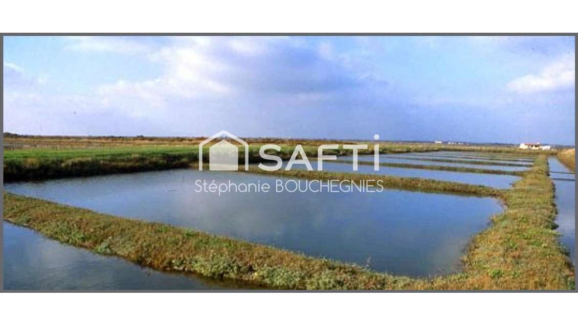 AV site conchylicole de 460m² à Marennes