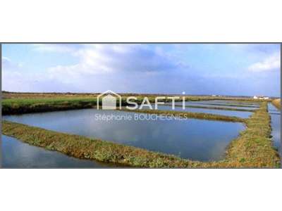 Vente Locaux d'activités - Entrepôts à Marennes-Hiers-Brouage