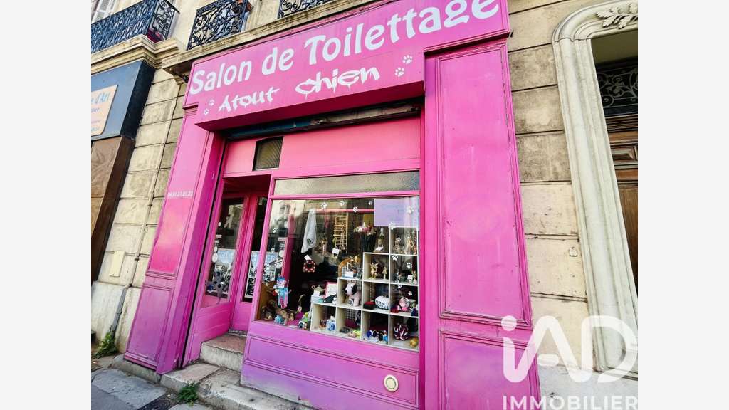 Cède DAB FDC salon toilettage 48m² Marseille 13007