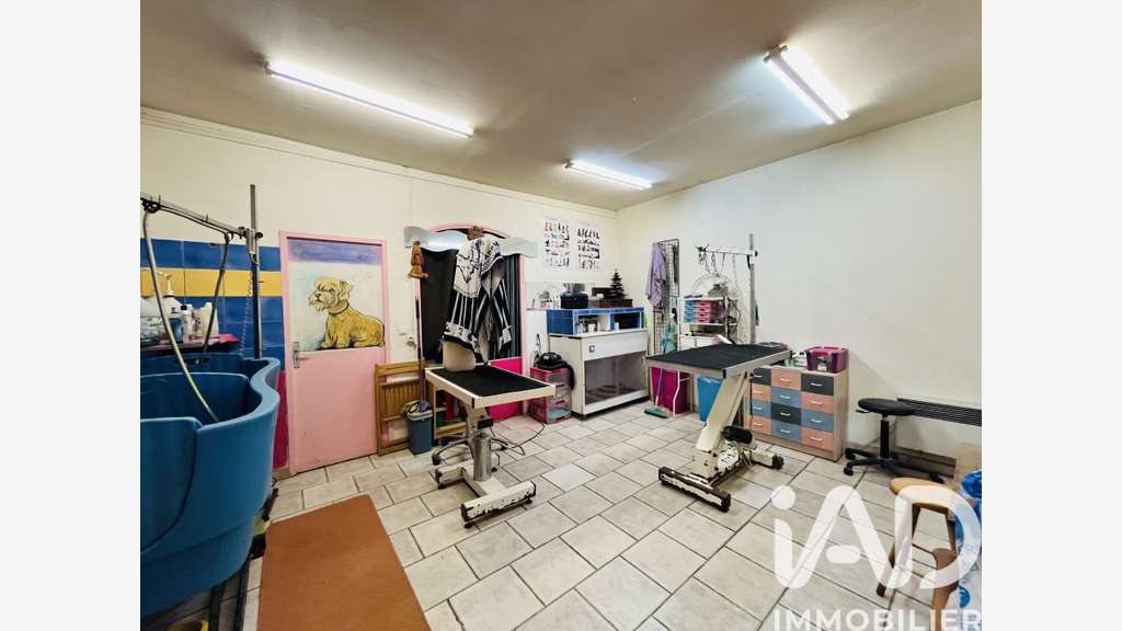 Cède DAB FDC salon toilettage 48m² Marseille 13007