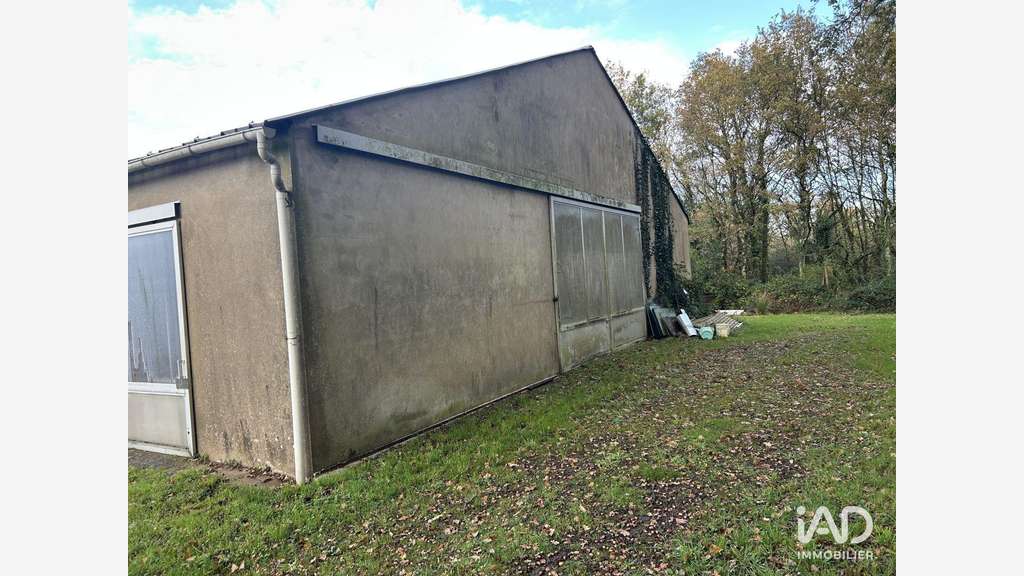 Local commercial à Mauves-sur-Loire