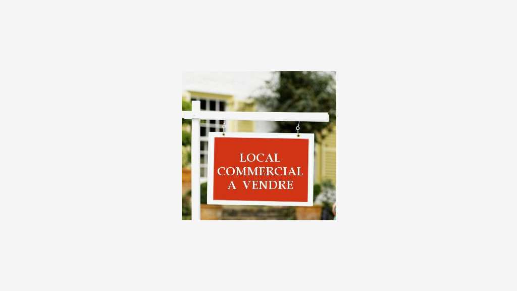 Vente murs commerciaux 500m² à Nantes empl N°1