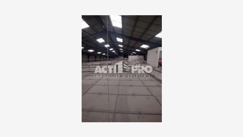 Vente bâtiment commercial 1600 m² à Perpignan