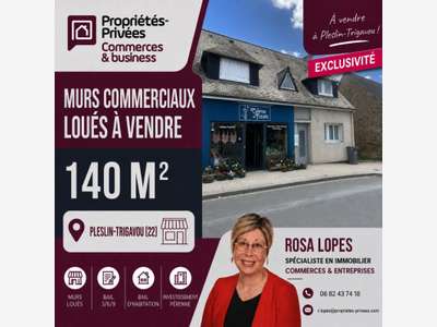 Vente ensemble immobilier loué à Pleslin-Trigavou