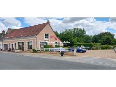 Vente Locaux commerciaux - Boutiques à Loir-en-Vallée
