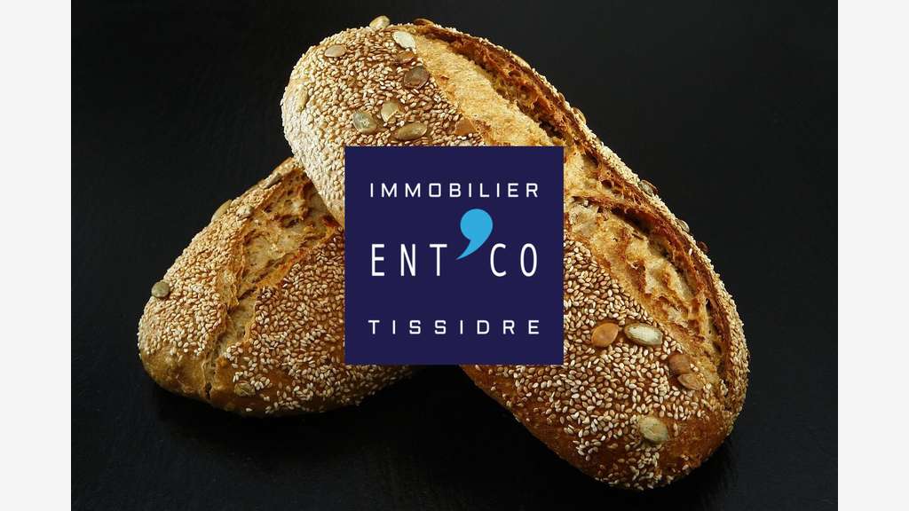 Vente murs commerciaux proche Agen à Pont-du-Casse