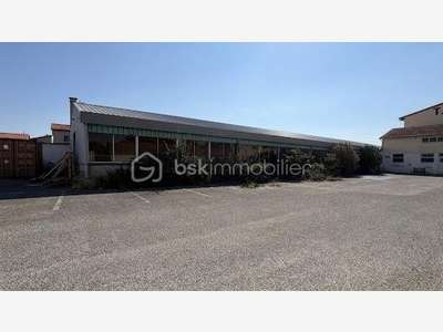 Romans sur Isère - Local 370 m²