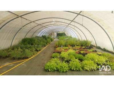 Vente Locaux commerciaux - Boutiques à Saint-Magne-de-Castillon