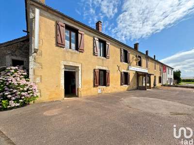 Vente murs commerciaux à Saints-en-Puisaye