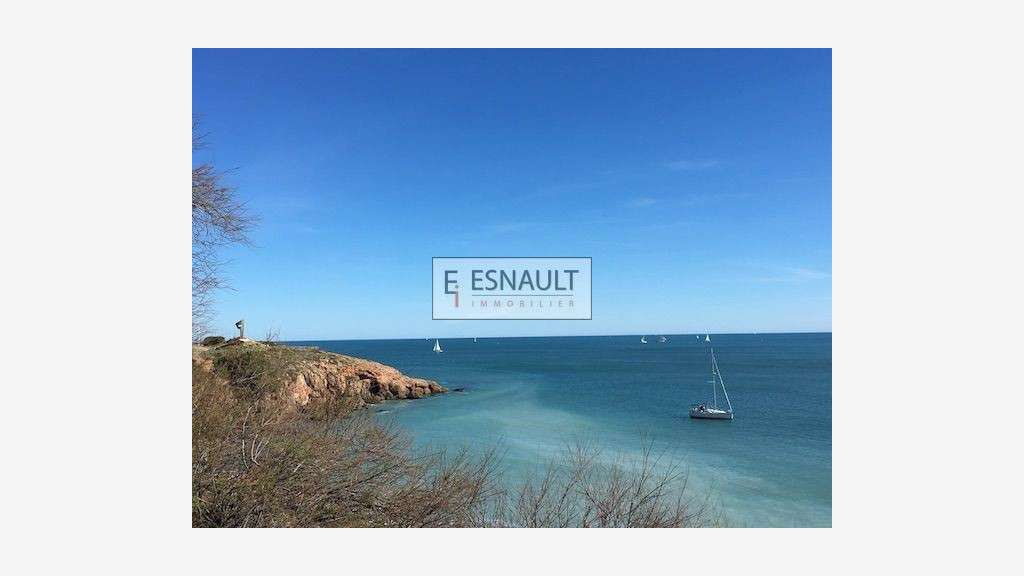 Pour investisseurs murs loués à vendre à Sète