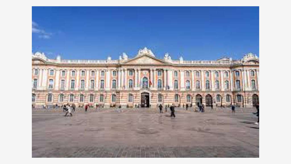 Murs et fonds-TOULOUSE-35 m²