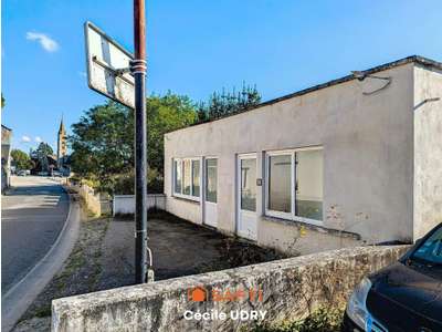 Vente Locaux commerciaux - Boutiques à Truyes