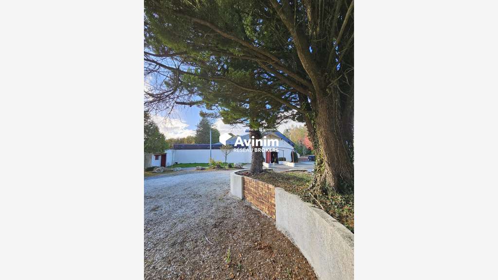 Vente local d'activité près de Maure-de-Bretagne