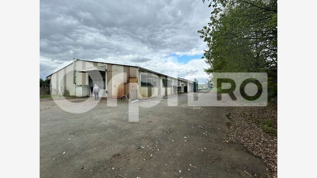 Vente local d'activité 1450m² à Aixe-sur-Vienne