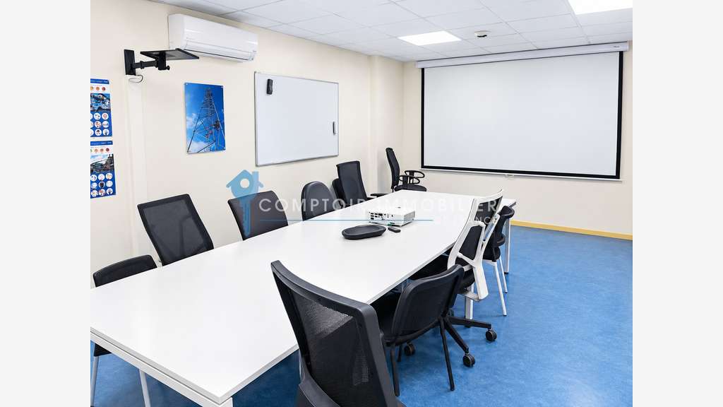 A vendre ensemble immobilier pro Francazal