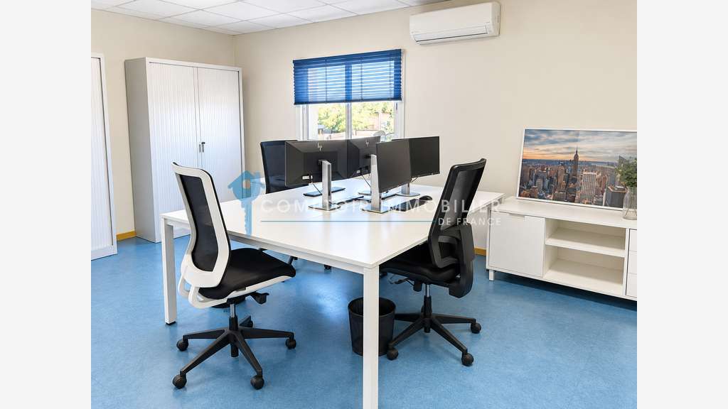 A vendre ensemble immobilier pro Francazal