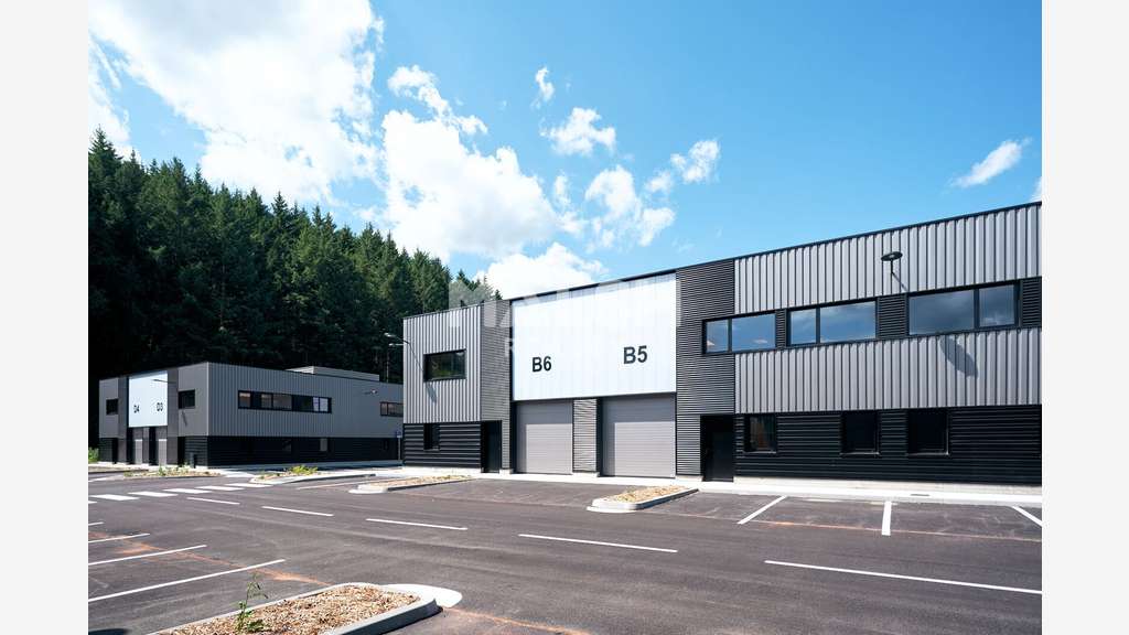 Vente local d'activité 5207m² divisible à Tarare